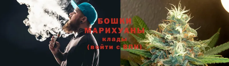 наркота  Боготол  Каннабис Amnesia 